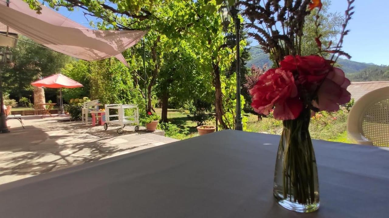 Le Clos Du Verger La Motte-du-Caire Kültér fotó